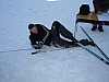P2030484.jpg P2030484.jpg