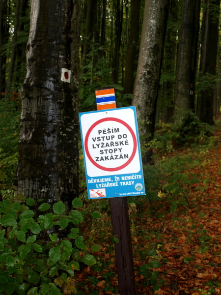 PA088160.jpg