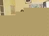 PC176948.jpg