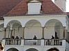 IMG_8361.jpg IMG_8361.jpg