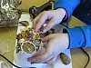 IMG_5387.jpg