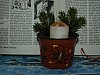PC116771.jpg