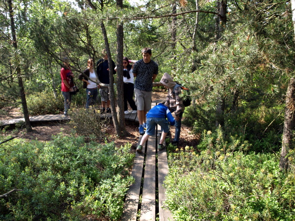 P6244509.jpg