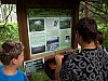 P6244481.jpg