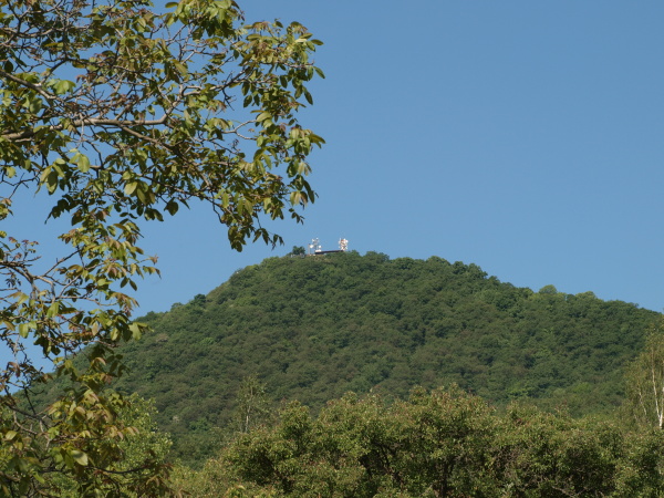 P5193689.jpg